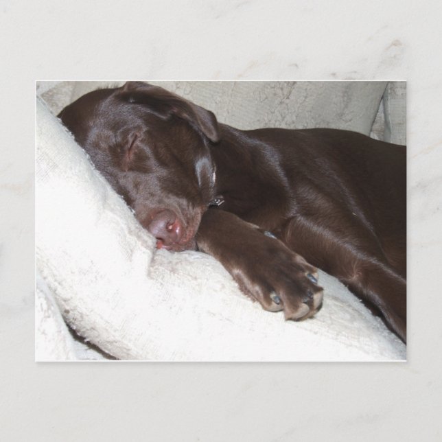 Cartão Postal Beleza Dormindo (Frente)