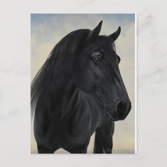 Cartão Postal Beleza Negra - Retrato de Cavalo Frísia Negra (Frente)
