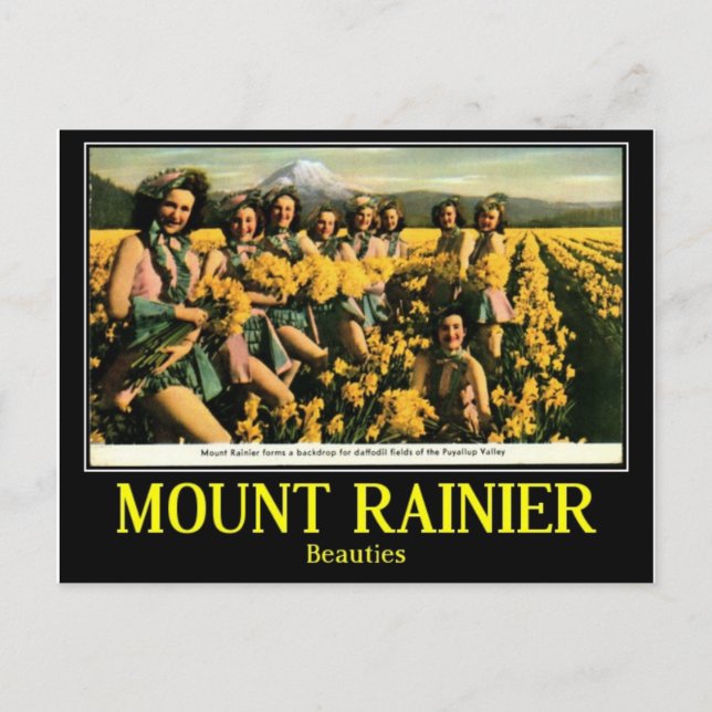 Cartão Postal Beleza no Vale Puyallup, Vintage (Frente)