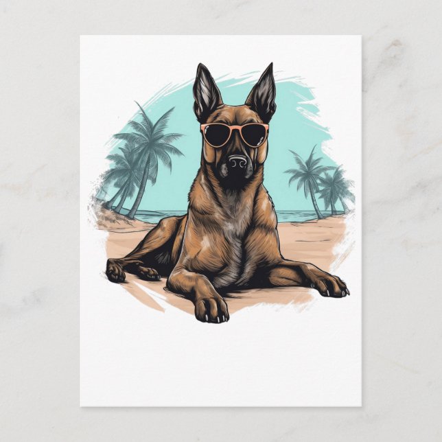 Cartão Postal Belga-malinois com óculos de sol na praia (Frente)