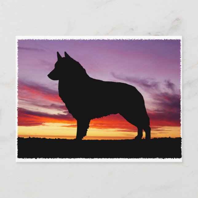 Cartão Postal Belga Tervuren (Frente)