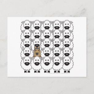 Cartão Postal Belga Tervuren na Ovelha