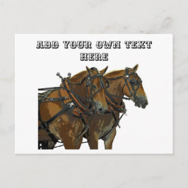 Cartão Postal Belgian Horse Team All Purpose Postcard