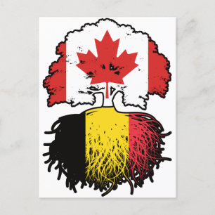 Cartão Postal Bélgica Belga Canadá, Canadá, Bandeira de Raízes d