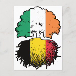 Cartão Postal Bélgica Bélgica Irlanda Irlanda, Irlanda, Tree Roo