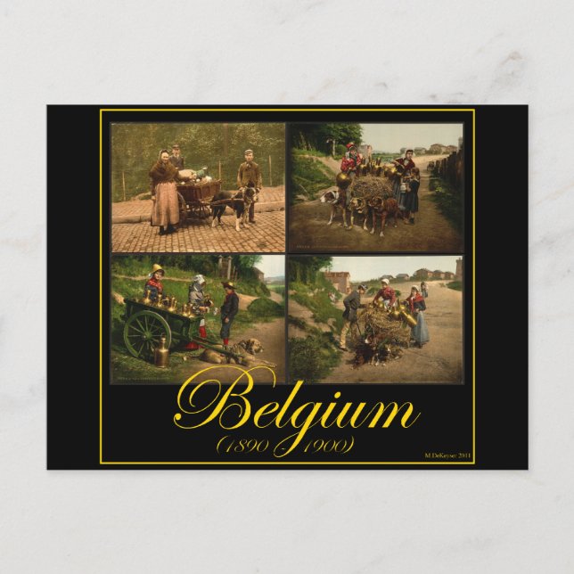 Cartão Postal Bélgica Vendedor de Leite de Cães-Carrinho (Frente)