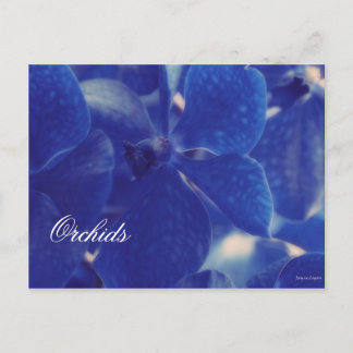 Cartão Postal Belíssimas Orquídeas Azuis, Cartão-postal Modelo V