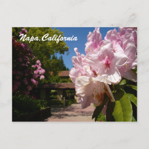 Cartão Postal Belíssimo Mont La Salle