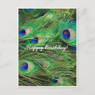 Cartão Postal Belíssimo Pavão Personalizável