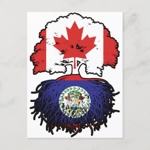 Cartão Postal Belize Belizean Canada Tree Roots Flag