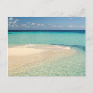 Cartão Postal Belize, Mar de Caribe. Goff Caye, Uma Pequena Ilha
