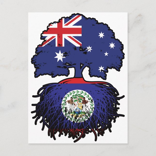 Cartão Postal Belize Raízes de Árvore Australiana Australiana (Frente)