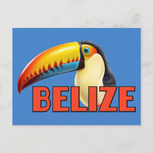 Cartão Postal BELIZE Toucan