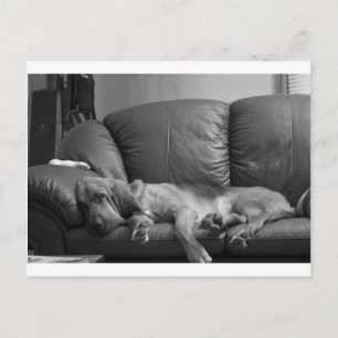 Cartão Postal Bella