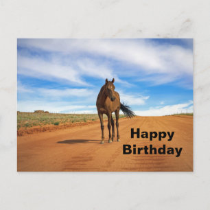 Cartão Postal Belo aniversário da Foto da Estrada Marrom Horse