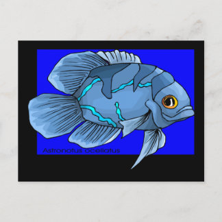 Cartão Postal Belo Azul Tropical Oscar Fish