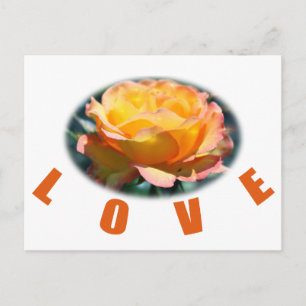 Cartão Postal belo brinde de flor amarela de rosa foto arte amor