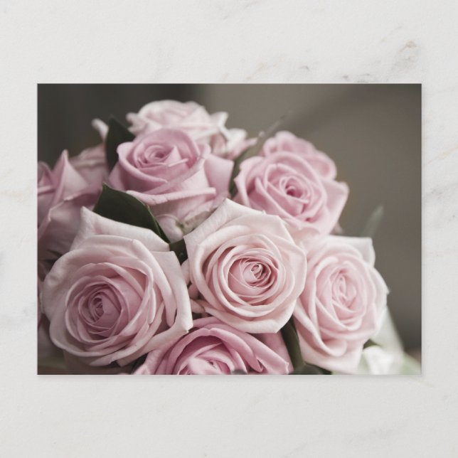 Cartão Postal Belo buquê rosa rosa (Frente)