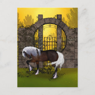 Cartão Postal Belo cavalo
