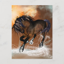 Cartão Postal Belo cavalo