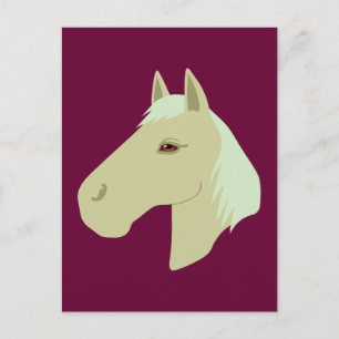 Cartão Postal Belo Cavalo