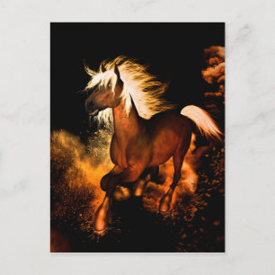 Cartão Postal Belo cavalo