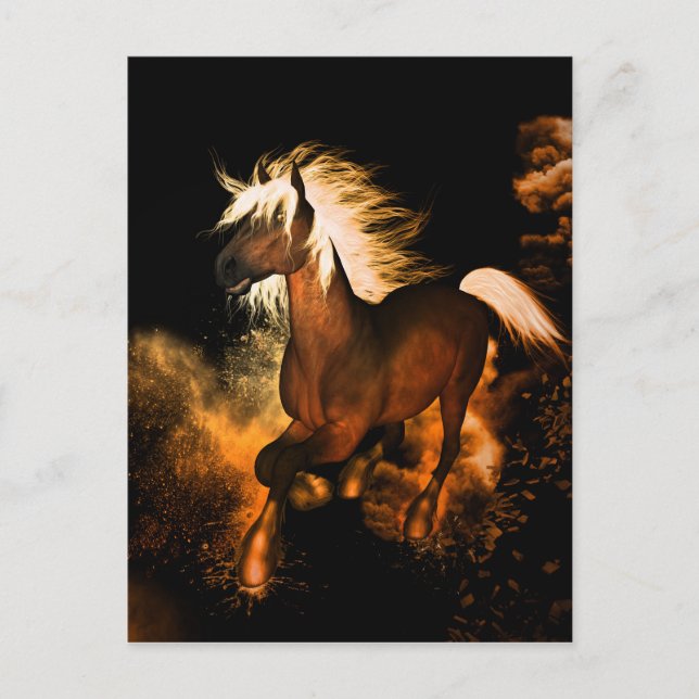 Cartão Postal Belo cavalo (Frente)