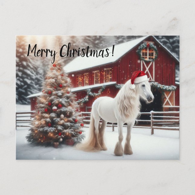 Cartão Postal Belo cavalo branco vestindo um papai noel sentado (Frente)