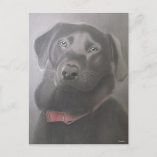 Cartão Postal Belo Desenho Labrador Retriever