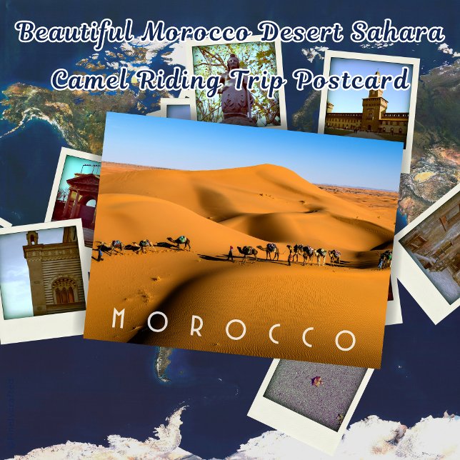 Cartão Postal Belo Deserto de Marrocos Sahara Camel Trip. (Criador carregado)