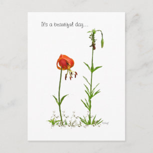 Cartão Postal Belo Dia...