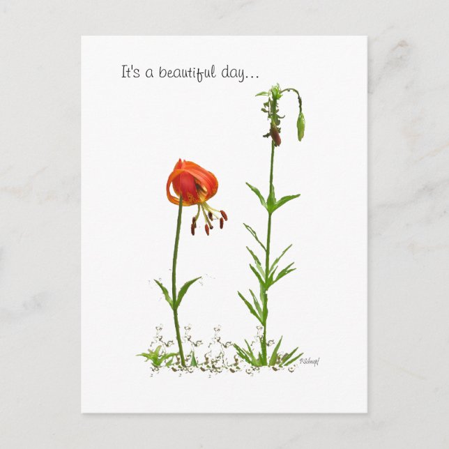 Cartão Postal Belo Dia... (Frente)