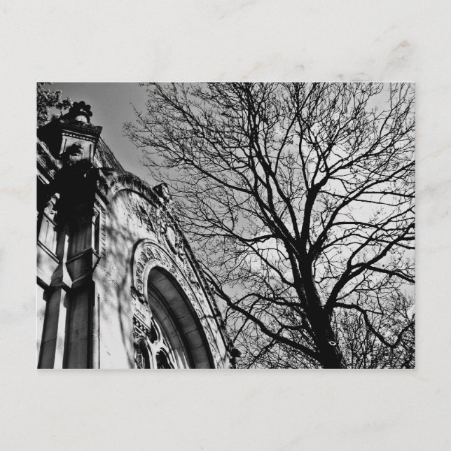 Cartão Postal Belo dia no cemitério em preto e branco (Frente)