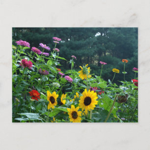 Cartão Postal Belo jardim floral