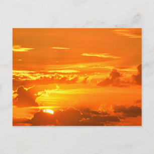 Cartão Postal Belo nascer do sol na Flórida