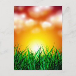 Cartão Postal Belo nascer do sol sobre um campo de grama