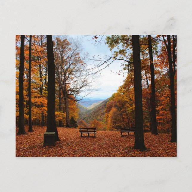 Cartão Postal Belo Outono (Frente)