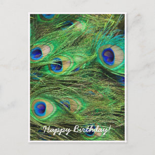 Cartão Postal Belo Pavão