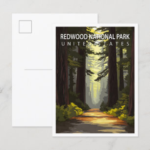 Cartão Postal Belo Place Redwood National Park EUA Viagem