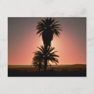 Cartão Postal Belo pôr do sol: Deserto do Sara, Argélia