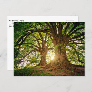 Cartão Postal Belo pôr do sol na floresta