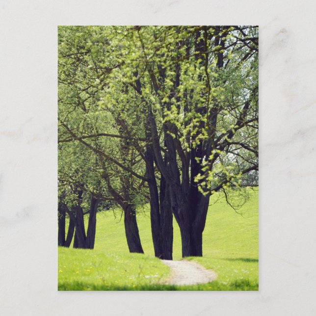 Cartão Postal Belo Prado (Frente)