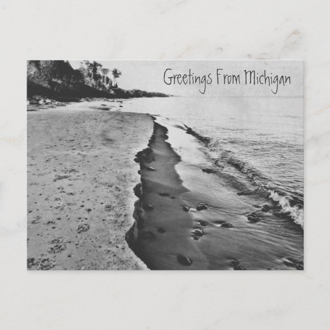 Cartão Postal Belo Primavera Lago Michigan Shoreline Beach (Frente)