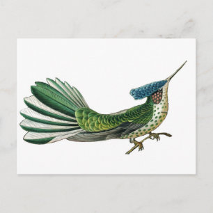 Cartão Postal Belo quadro bonito do paraíso