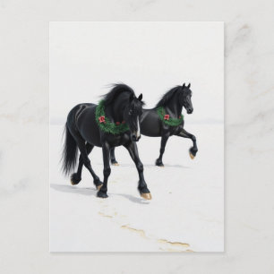 Cartão Postal Belos Cavalos Pretos Neve de Inverno Natal