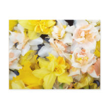 Belos primavera de fotos flutuando na água