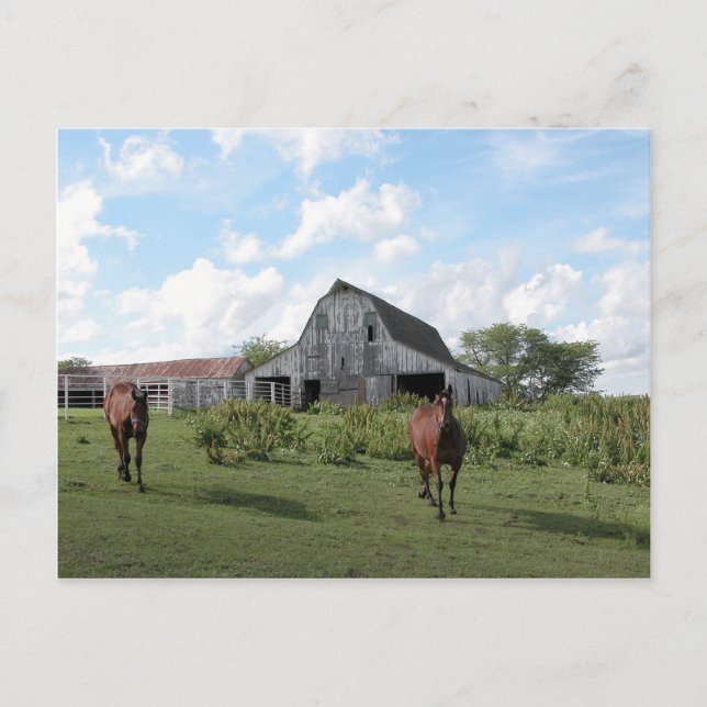 Cartão Postal Bem-vindo Amigável (Frente)