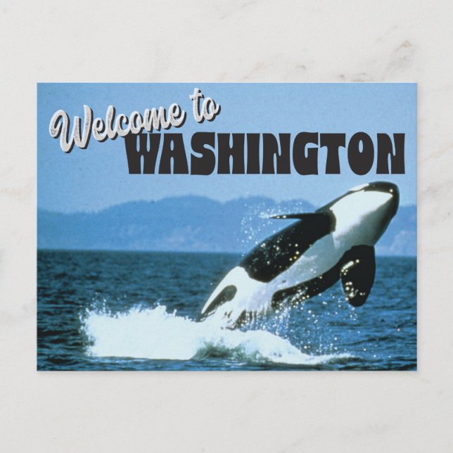 Cartão Postal Bem-vindo ao Estado de Washington com Orca Whale (Frente)