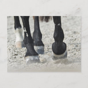 Cartão Postal benalamadena costa, malaga, costa del sol, 2