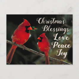 Cartão Postal Bênçãos de Natal, Joy da Paz de Amor, Cardinais